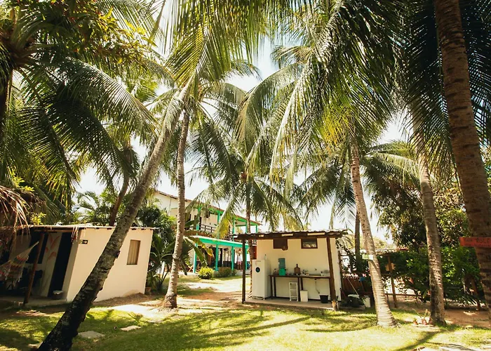 Indiana Kite School And Hostel
